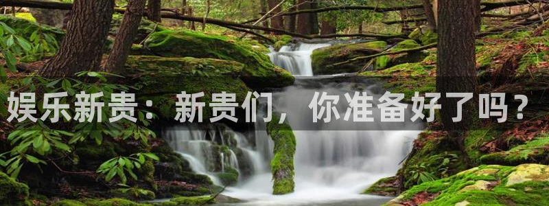 杏鑫娱乐app下载安装最新版：娱乐新贵：新贵们，你准备好了吗？