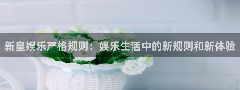 壹号大舞台娱乐传媒：新皇娱乐严格规则：娱乐生活中的新规则和新体验