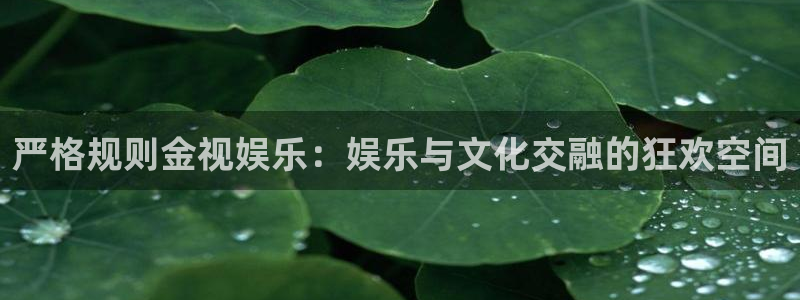 壹号app下载：严格规则金视娱乐：娱乐与文化交融的狂欢空间