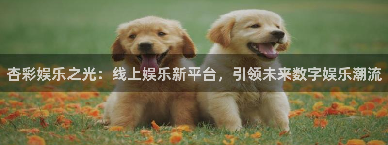 杏鑫娱乐,apk.1：杏彩娱乐之光：线上娱乐新平台，引领未来数字娱乐潮流