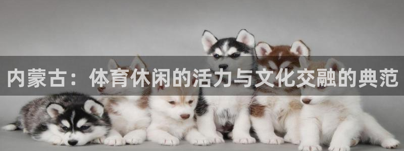 壹号下载官网入口：内蒙古：体育休闲的活力与文化交融的典范