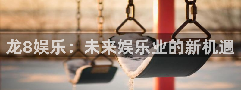 壹号电子娱乐app下载安装最新版本：龙8娱乐：未来娱乐业的新机遇