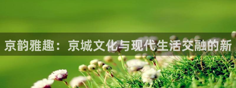 杏鑫娱乐科技赋能,让平台更有趣：京韵雅趣：京城文化与现代生活交融的新