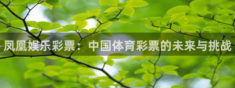 壹号app官网版下载：凤凰娱乐彩票：中国体育彩票的未来与挑战