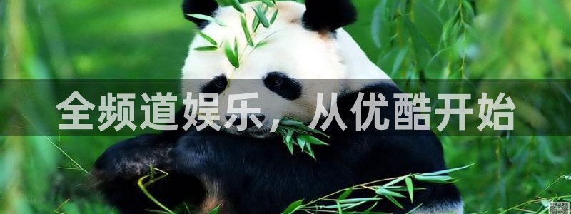 壹号app下载链接：全频道娱乐，从优酷开始