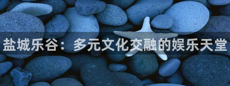 杏鑫娱乐app下载地址：盐城乐谷：多元文化交融的娱乐天堂