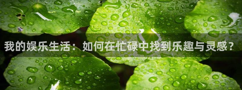 壹号大舞台网站：我的娱乐生活：如何在忙碌中找到乐趣与灵感？