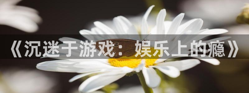 杏鑫娱乐官网：《沉迷于游戏：娱乐上的瘾》