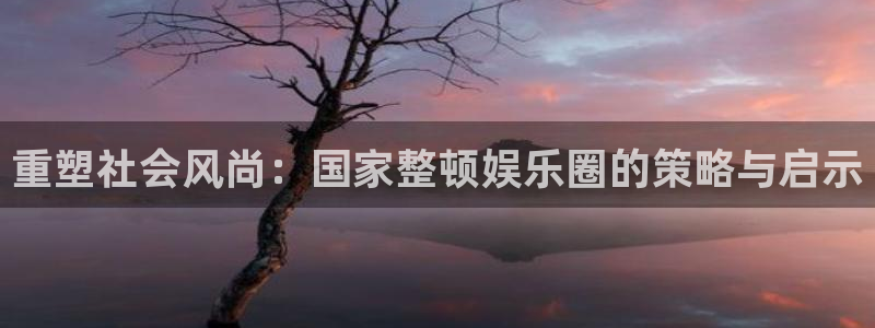 杏鑫娱乐下载入口：重塑社会风尚：国家整顿娱乐圈的策略与启示