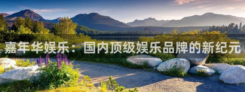 杏鑫娱乐app入口：嘉年华娱乐：国内顶级娱乐品牌的新纪元