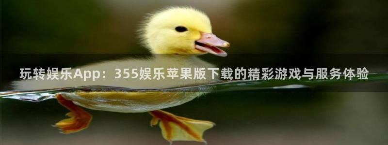 壹号下载安装：玩转娱乐App：355娱乐苹果版下载的精彩游戏与服务体验