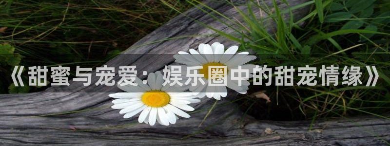 杏鑫娱乐电子游戏官网：《甜蜜与宠爱：娱乐圈中的甜宠情缘》