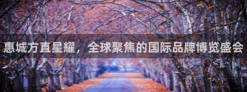壹号大舞台下载：惠城方直星耀，全球聚焦的国际品牌博览盛会