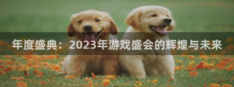 伟德国际集团 壹号(one game)：年度盛典：2023年游戏盛会的辉煌与未来