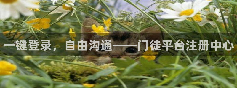 壹号大舞台下载：一键登录，自由沟通——门徒平台注册中心