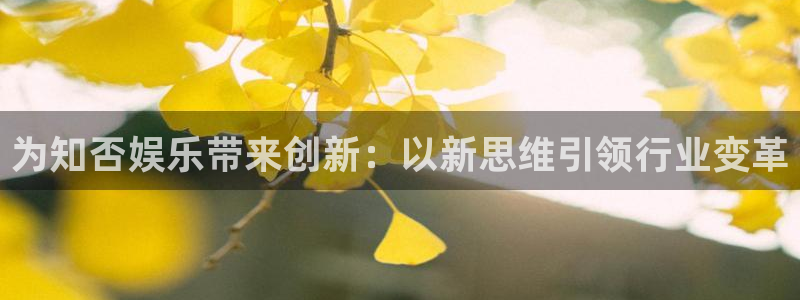 杏鑫娱乐平台app下载安装：为知否娱乐带来创新：以新思维引领行业变革