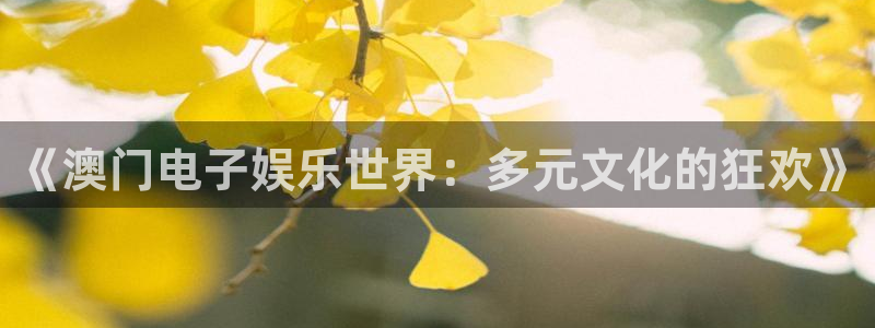 壹号平台下载：《澳门电子娱乐世界：多元文化的狂欢》