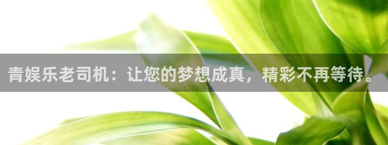 杏鑫娱乐网站：青娱乐老司机：让您的梦想成真，精彩不再等待。