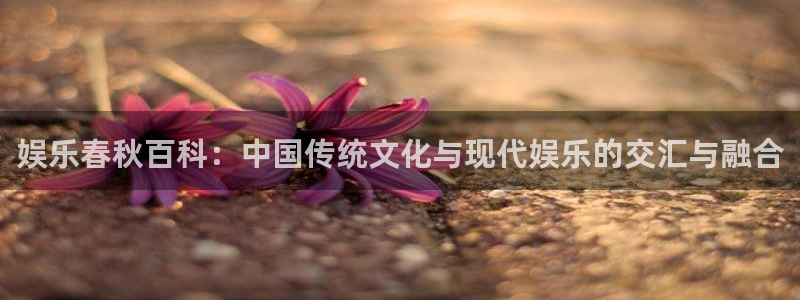 壹号电子娱乐app下载安装：娱乐春秋百科：中国传统文化与现代娱乐的交汇与融合