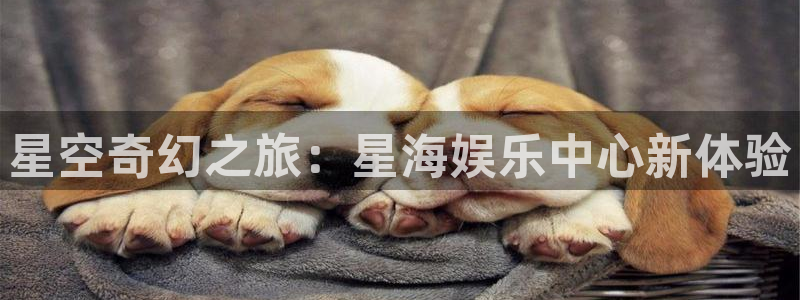 壹号大舞台官网：星空奇幻之旅：星海娱乐中心新体验