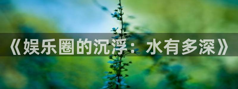 壹号电子娱乐app下载最新版本：《娱乐圈的沉浮：水有多深》