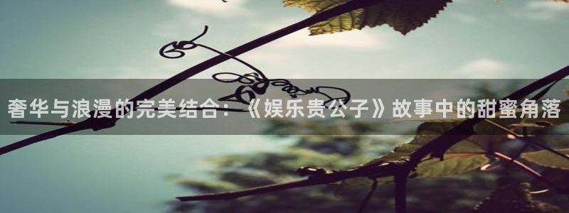 杏鑫娱乐.com：奢华与浪漫的完美结合：《娱乐贵公子》故事中的甜蜜角落