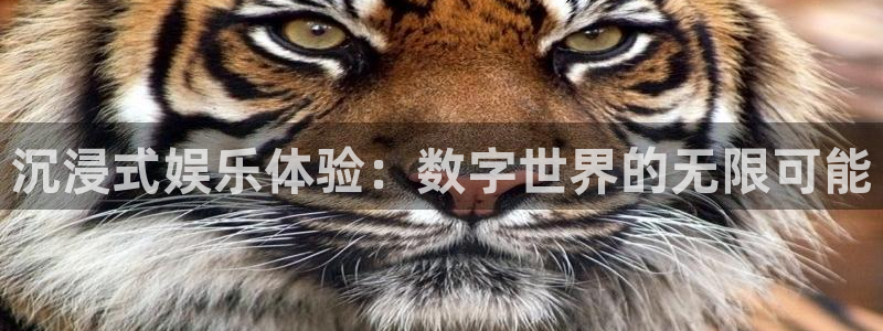 壹号平台下载安装官网：沉浸式娱乐体验：数字世界的无限可能