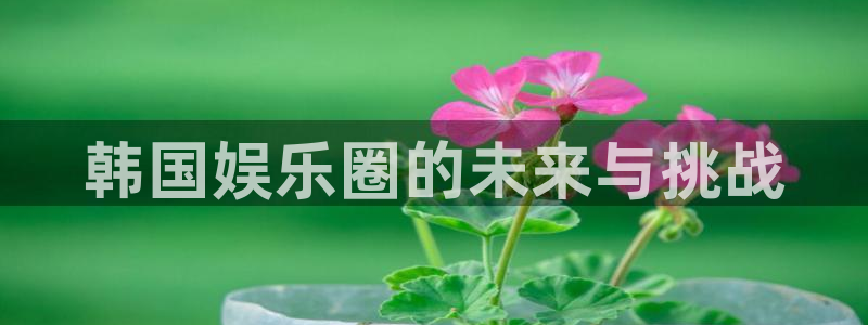 壹号官网app下载安装：韩国娱乐圈的未来与挑战