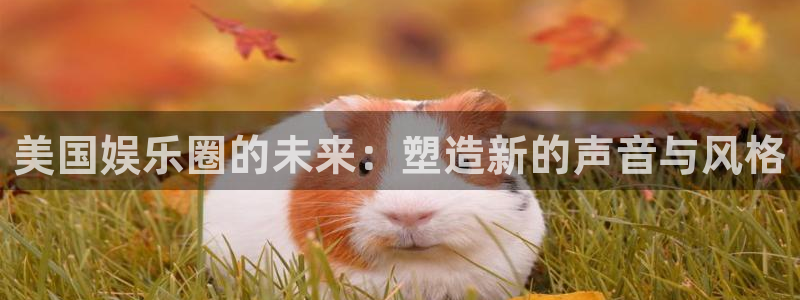 杏鑫娱乐app官网下载：美国娱乐圈的未来：塑造新的声音与风格