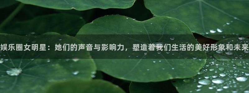 杏鑫娱乐：娱乐圈女明星：她们的声音与影响力，塑造着我们生活的美好形象和未来