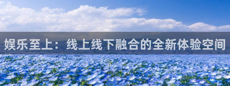 杏鑫娱乐app官网：娱乐至上：线上线下融合的全新体验空间