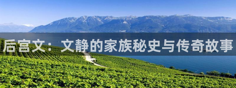 杏鑫娱乐充值怎么退款：后宫文：文静的家族秘史与传奇故事