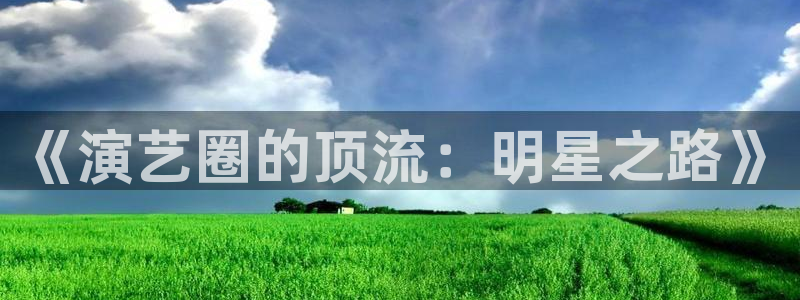 杏鑫娱乐,apk：《演艺圈的顶流：明星之路》