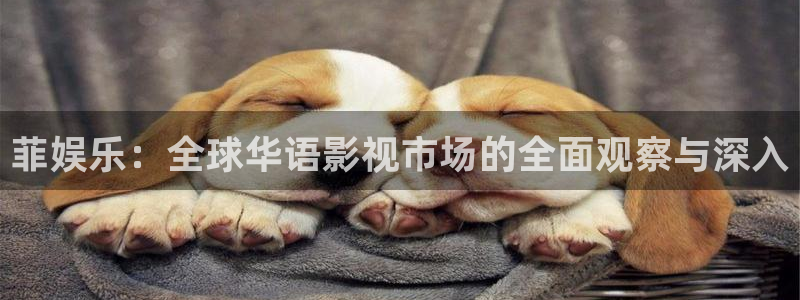 壹号大舞台怎么下载：菲娱乐：全球华语影视市场的全面观察与深入