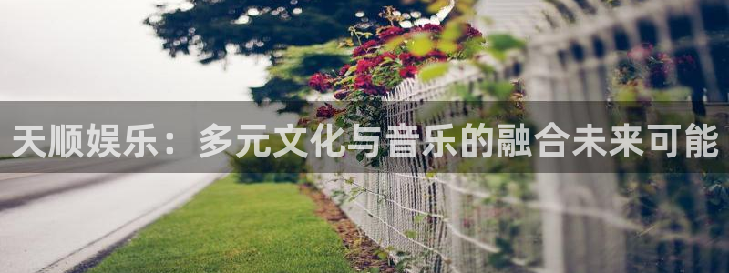 壹号大舞台入口：天顺娱乐：多元文化与音乐的融合未来可能